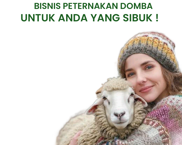 cropped-cropped-flyerdesign_05112024_120900.png