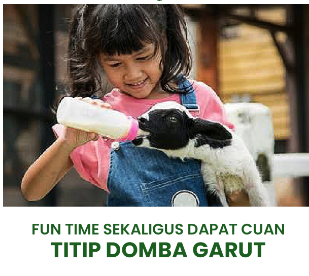 cropped-flyerdesign_05112024_115657.png
