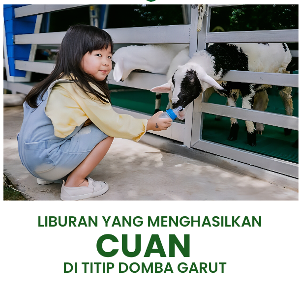 cropped-flyerdesign_05112024_115946.png