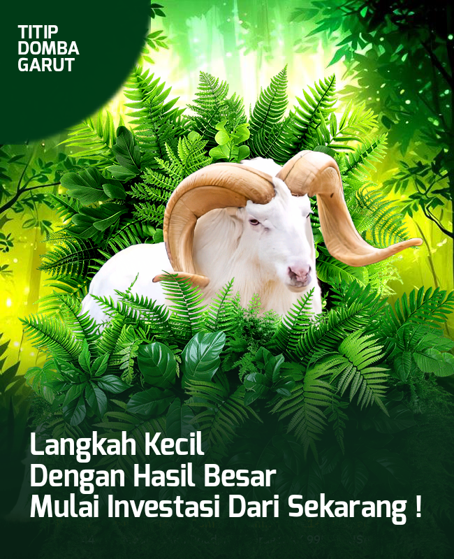flyerdesign_10112024_085106